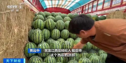 封校吃瓜黑龙江,黑龙江校园生活揭秘