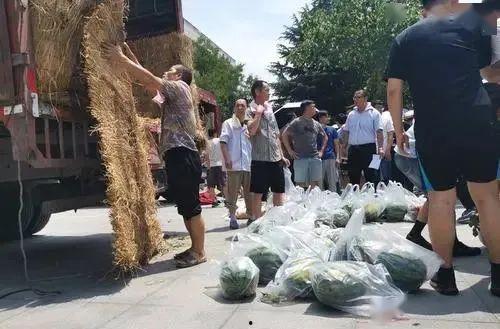 师范吃瓜事件,网络舆论下的教育伦理探讨