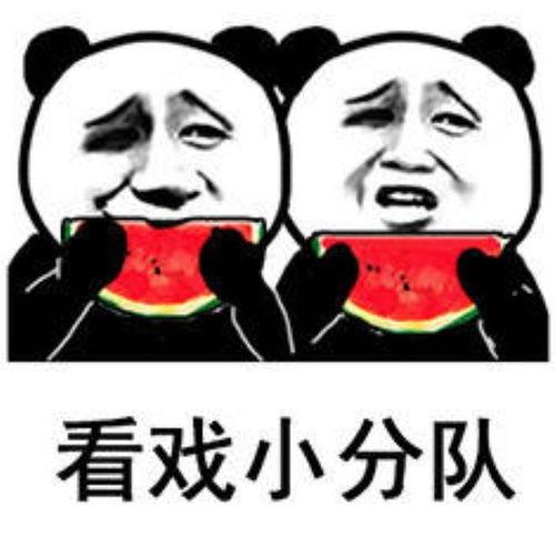 绝了吃瓜表情包,网络时代的趣味风向标