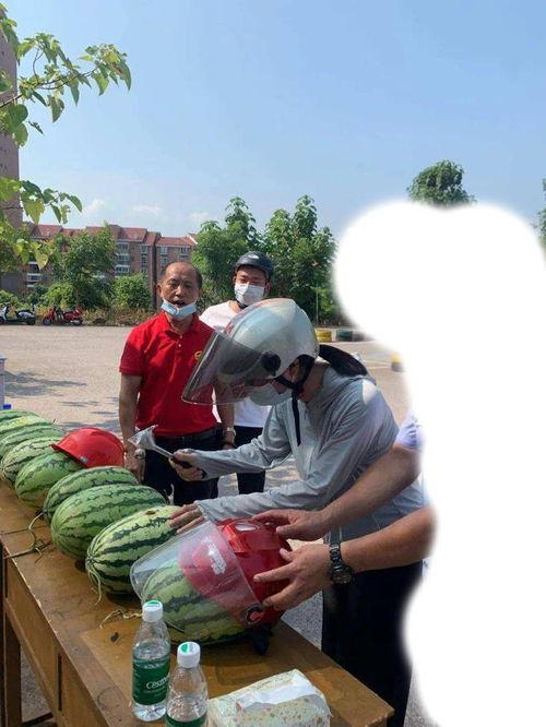 宣恩吃瓜事件,一场网络热议背后的真相探寻