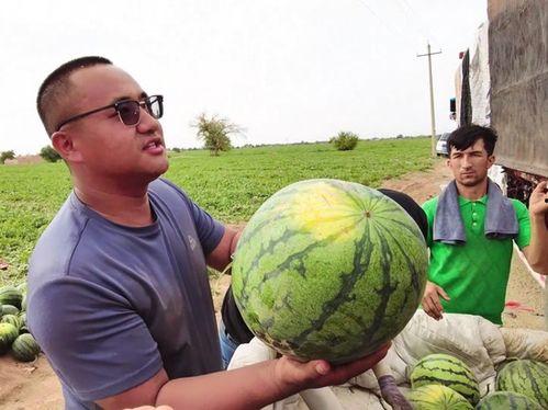 萋萋吃瓜,揭秘娱乐圈那些不为人知的幕后故事