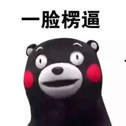 吃瓜吃到懵逼,揭秘娱乐圈背后的真相与谜团