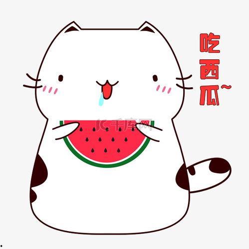 吃瓜猫咪素材视频,萌态十足，网友直呼“治愈系”