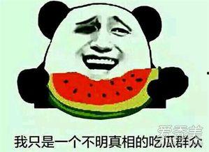 吃瓜得意思,揭秘“吃瓜群众”背后的真相与趣味