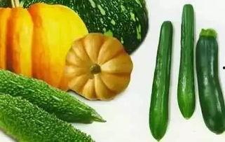 春山记吃瓜