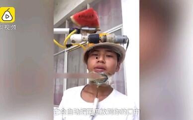 自动吃瓜机搞笑,笑料横生，瓜界新宠