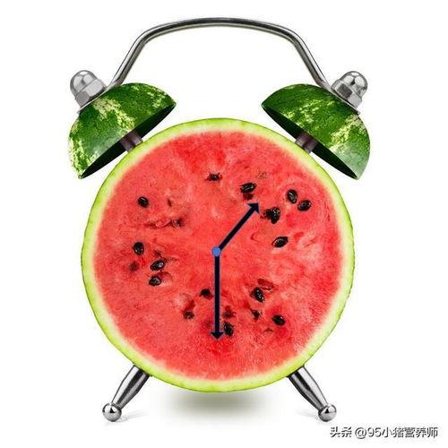 吃瓜的快乐原版,揭秘吃瓜的快乐之源