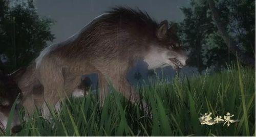 逆水寒小羊驼吃瓜,小羊驼吃瓜，揭秘江湖风云背后的秘密