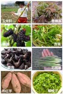 阜阳颍上吃瓜,瓜果飘香，品味田园生活