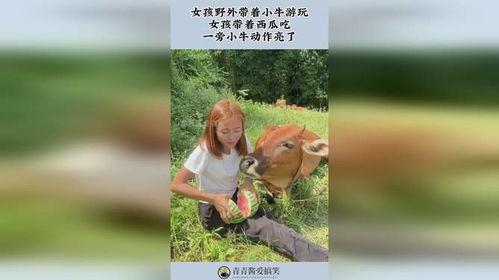 吃瓜者小牛,揭秘娱乐圈幕后故事