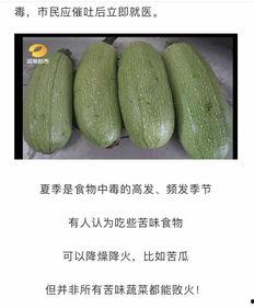 微山吃瓜喝药,吃瓜品药，体验地道乡愁