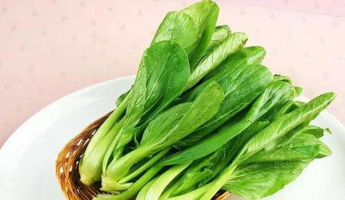 夜宵吃青菜小瓜,清新小瓜青菜，健康美味两不误