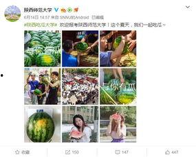 各学校吃瓜网站,揭秘各大高校吃瓜网站热点事件盘点