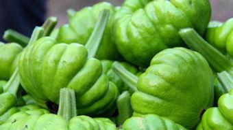 叶叶吃瓜视频,揭秘娱乐圈幕后故事