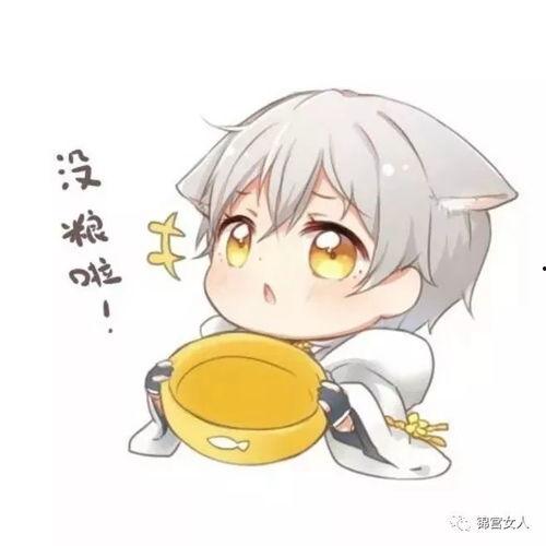 平时都是吃瓜群众的人,一位吃瓜群众的成长历程