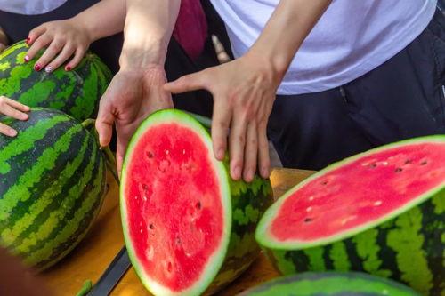 广西演艺学院 吃瓜,揭秘校园“吃瓜”风云录